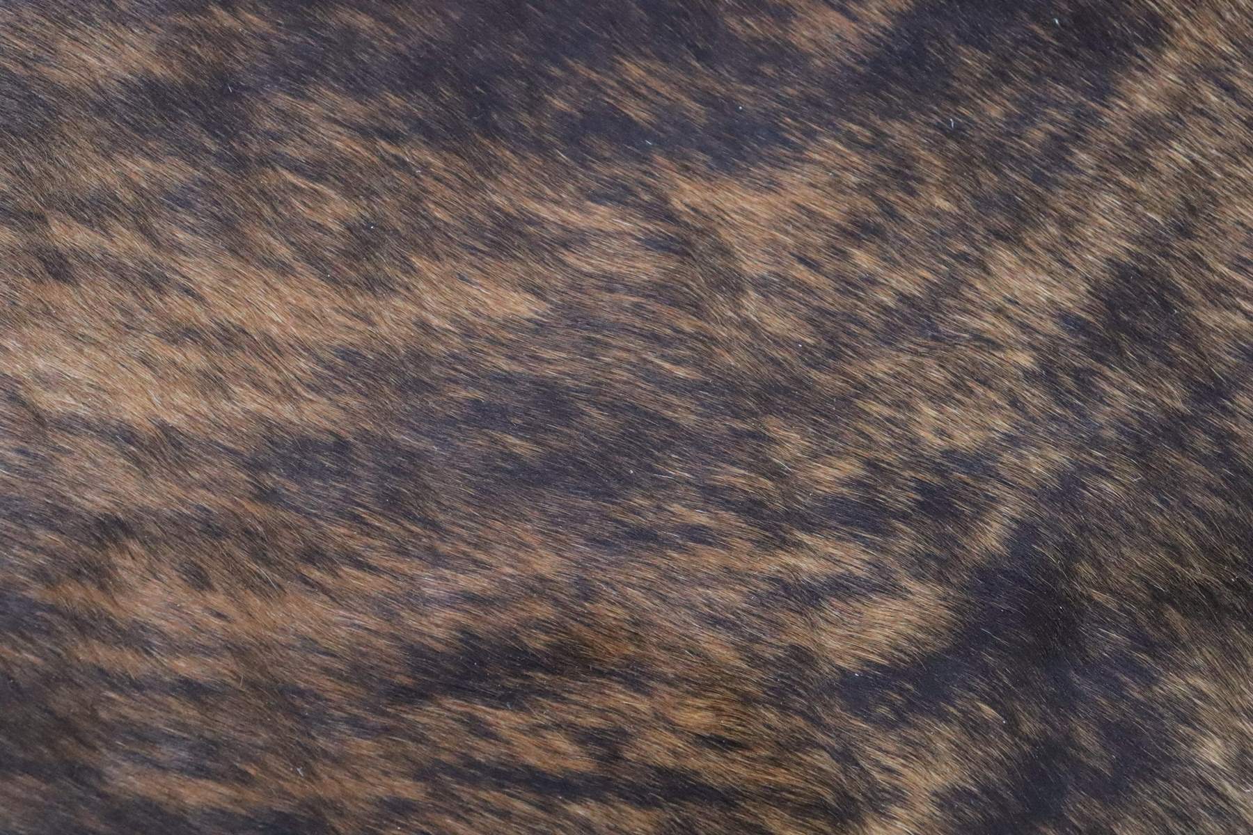 Tricolor Brindle (6.5 X 6.1 ft.) Exact As Photo BRAZILIAN Cowhide Rug | 100% Natural Cowhide Area Rug | Real Leather Cow Skin Rug | BZ318