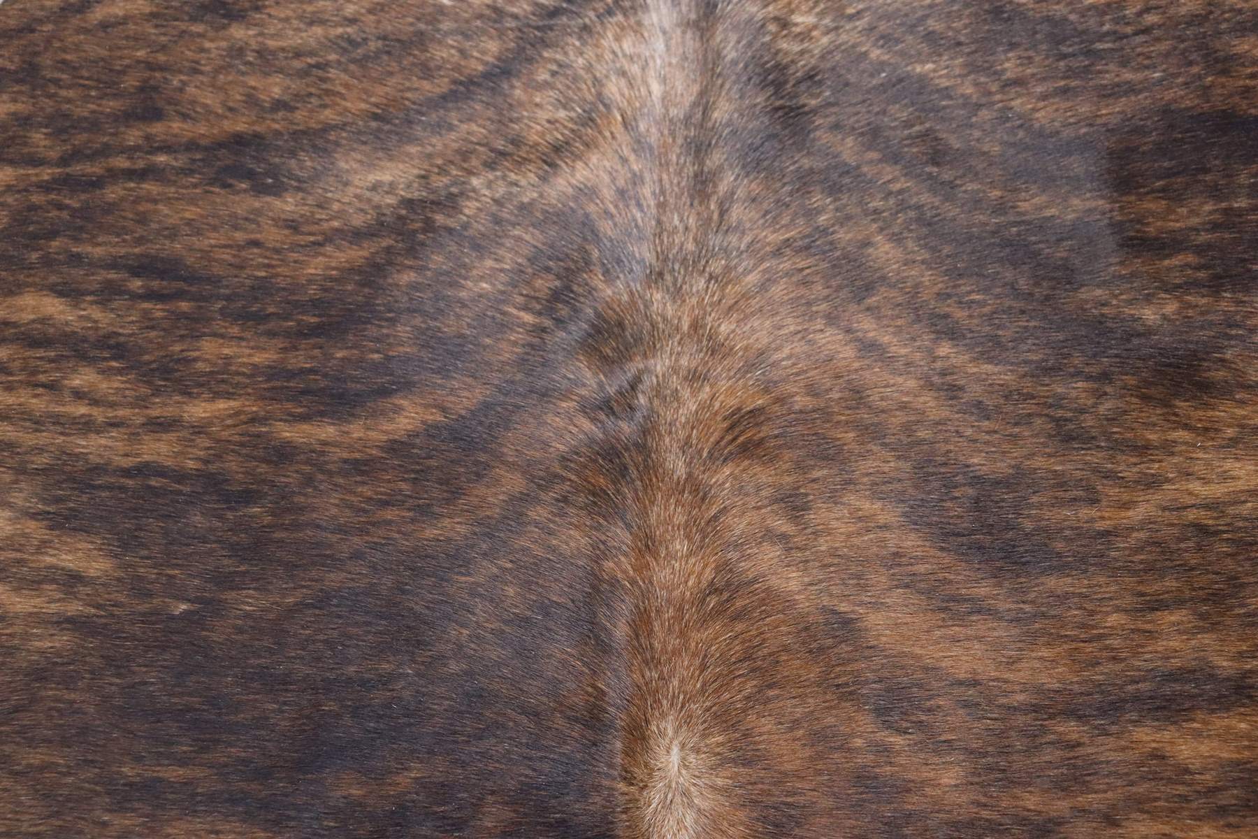 Tricolor Brindle (6.5 X 6.1 ft.) Exact As Photo BRAZILIAN Cowhide Rug | 100% Natural Cowhide Area Rug | Real Leather Cow Skin Rug | BZ318