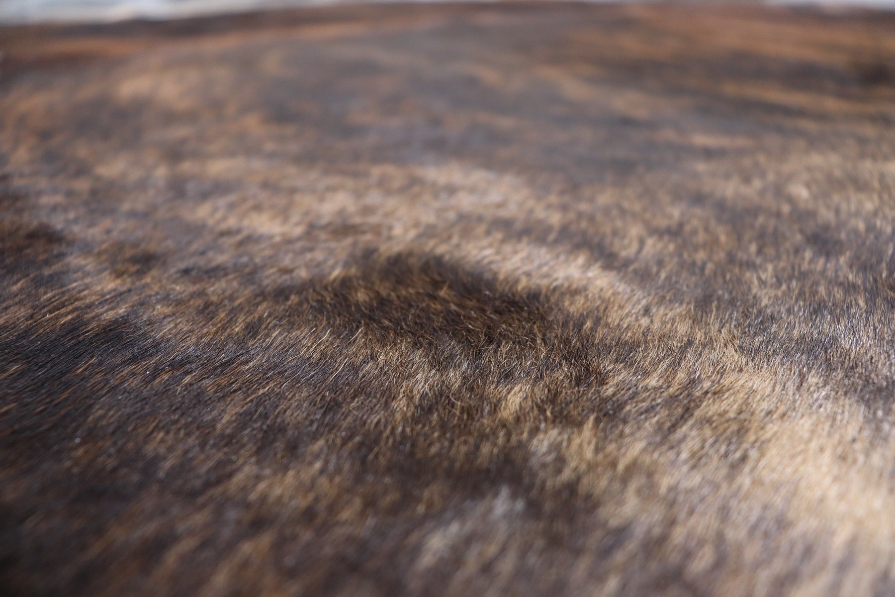 Tricolor Brindle (6.5 X 6.1 ft.) Exact As Photo BRAZILIAN Cowhide Rug | 100% Natural Cowhide Area Rug | Real Leather Cow Skin Rug | BZ318