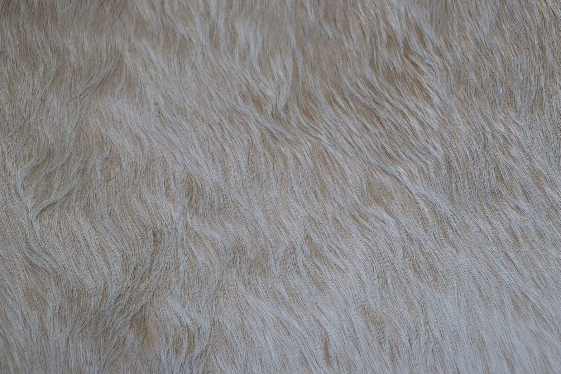 Light Brown White (6.7 X 6.3 ft.) Exact As Photo BRAZILIAN Cowhide Rug | 100% Natural Cowhide Area Rug | Real Leather Cow Skin Rug | BZ319