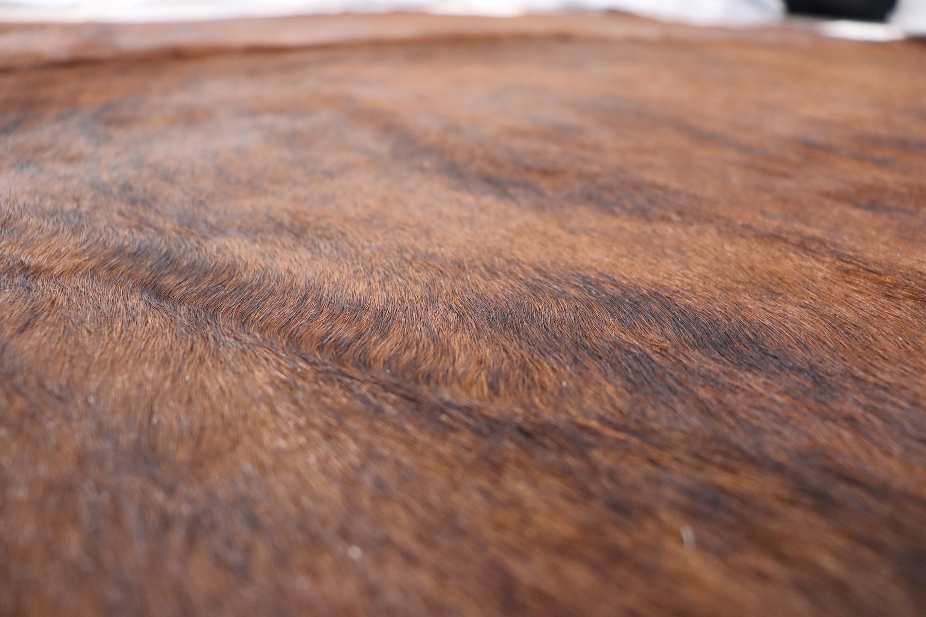 Tricolor (6.5 X 6.5 ft.) Exact As Photo BRAZILIAN Cowhide Rug | 100% Natural Cowhide Area Rug | Real Leather Cow Skin Rug | BZ323