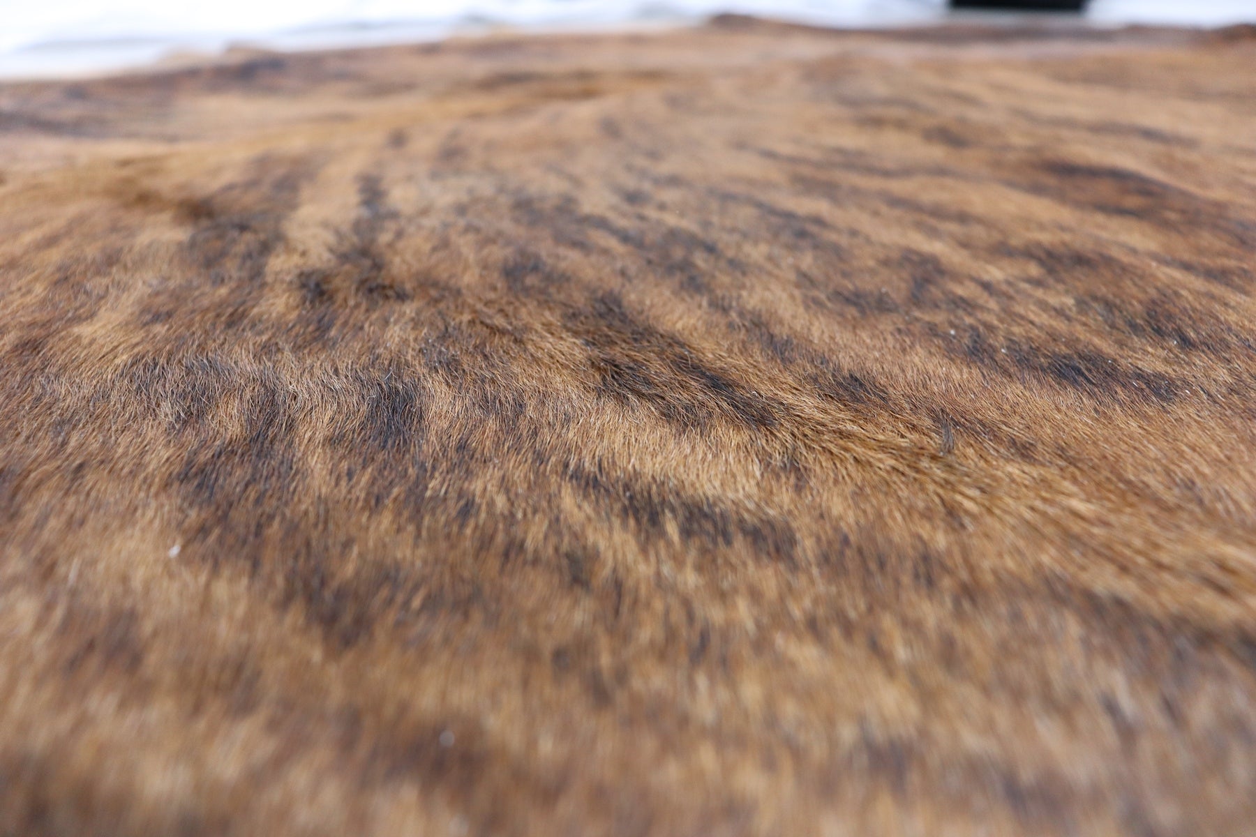 Brown Brindle (7 X 6.4 ft.) Exact As Photo BRAZILIAN Cowhide Rug | 100% Natural Cowhide Area Rug | Real Leather Cow Skin Rug | BZ324