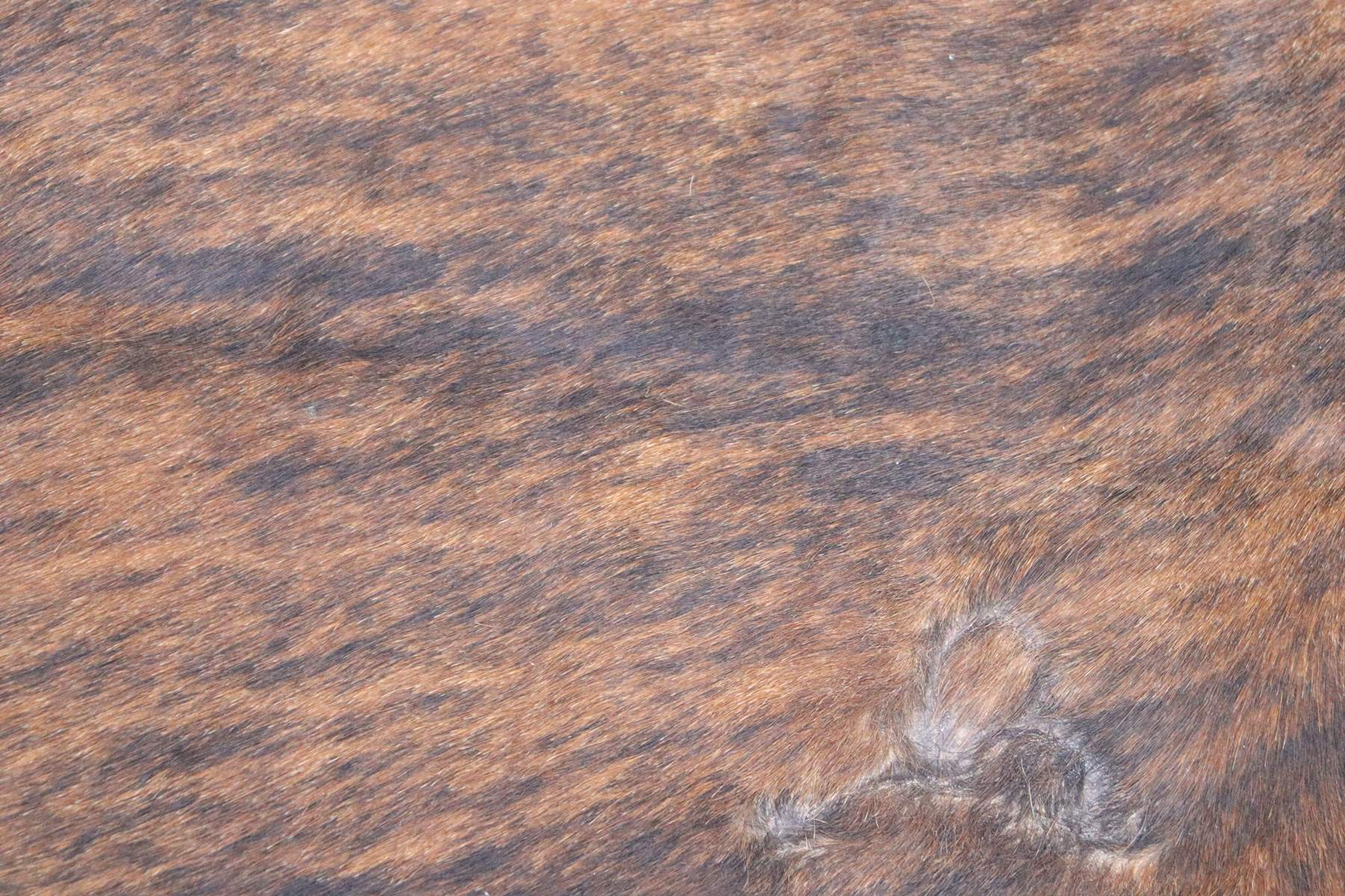 Brown Brindle (8.4 X 7.5 ft.) Exact As Photo BRAZILIAN Cowhide Rug | 100% Natural Cowhide Area Rug | Real Leather Cow Skin Rug | BZ326