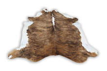 Load image into Gallery viewer, Tricolor Brindle (7.11 X 7.7 ft.) Exact As Photo BRAZILIAN Cowhide Rug | 100% Natural Cowhide Area Rug | Real Leather Cow Skin Rug | BZ330
