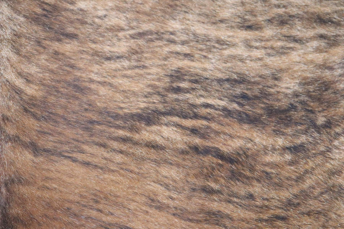 Tricolor Brindle (7.11 X 7.7 ft.) Exact As Photo BRAZILIAN Cowhide Rug | 100% Natural Cowhide Area Rug | Real Leather Cow Skin Rug | BZ330