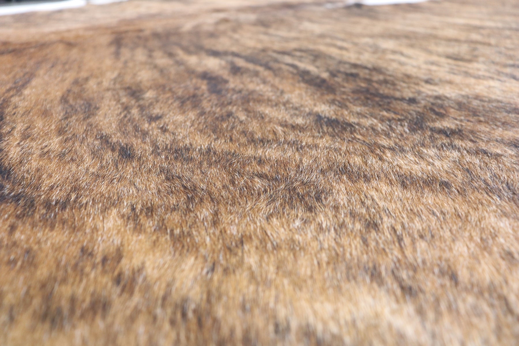Tricolor Brindle (7.11 X 7.7 ft.) Exact As Photo BRAZILIAN Cowhide Rug | 100% Natural Cowhide Area Rug | Real Leather Cow Skin Rug | BZ330