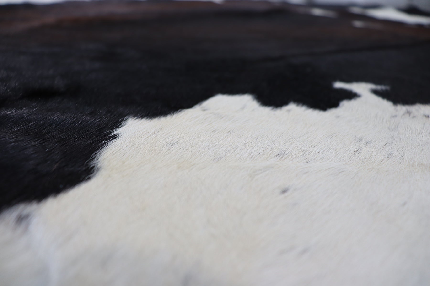 Tricolor (6.2 X 5.9 ft.) Exact As Photo BRAZILIAN Cowhide Rug | 100% Natural Cowhide Area Rug | Real Leather Cow Skin Rug | BZ341