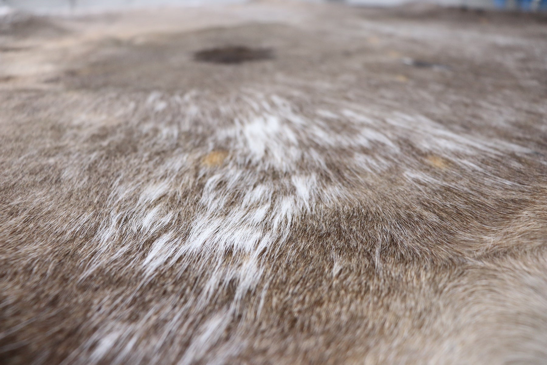 Tricolor (6.4 X 6.2 ft.) Exact As Photo BRAZILIAN Cowhide Rug | 100% Natural Cowhide Area Rug | Real Leather Cow Skin Rug | BZ346