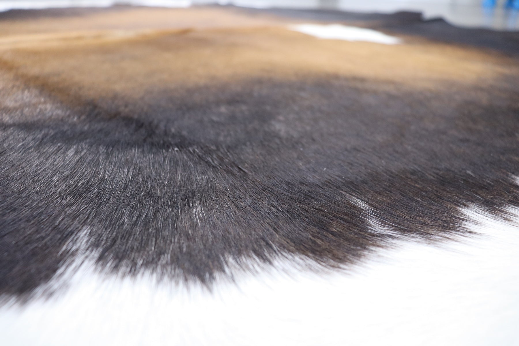 Tricolor (6.3 X 5.3 ft.) Exact As Photo BRAZILIAN Cowhide Rug | 100% Natural Cowhide Area Rug | Real Leather Cow Skin Rug | BZ347