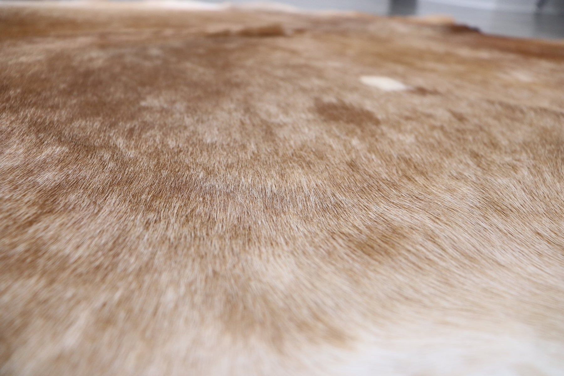 Brown White (6.2 X 5.8 ft.) Exact As Photo BRAZILIAN Cowhide Rug | 100% Natural Cowhide Area Rug | Real Leather Cow Skin Rug | BZ349