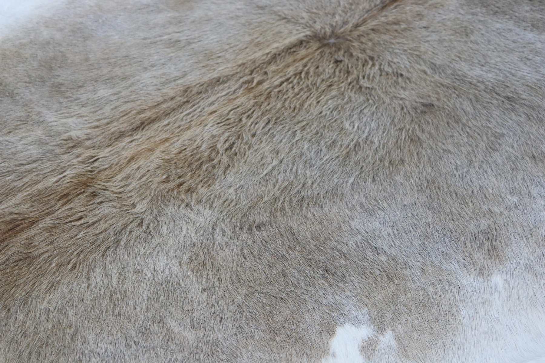 Tricolor (6.9 X 6.4 ft.) Exact As Photo BRAZILIAN Cowhide Rug | 100% Natural Cowhide Area Rug | Real Leather Cow Skin Rug | BZ352