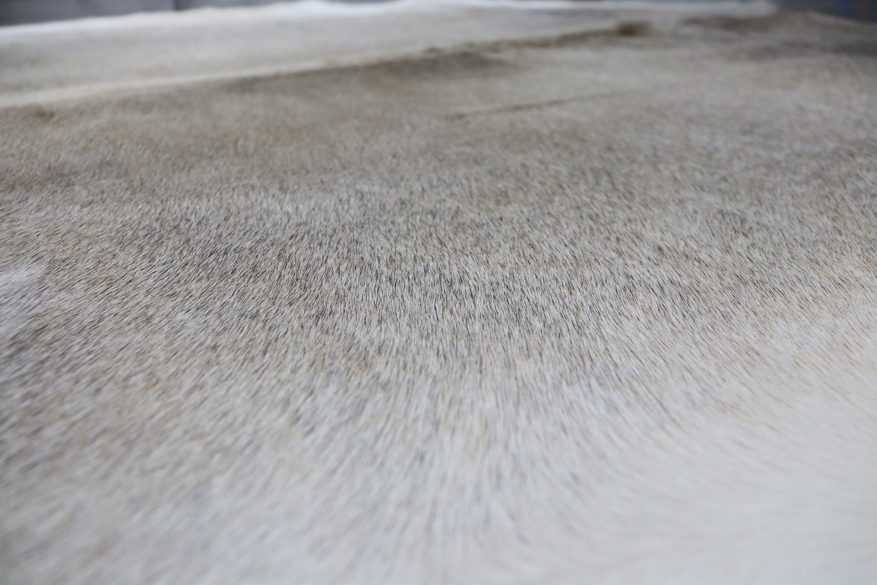 Grey White (7.1 X 6.5 ft.) Exact As Photo BRAZILIAN Cowhide Rug | 100% Natural Cowhide Area Rug | Real Leather Cow Skin Rug | BZ356
