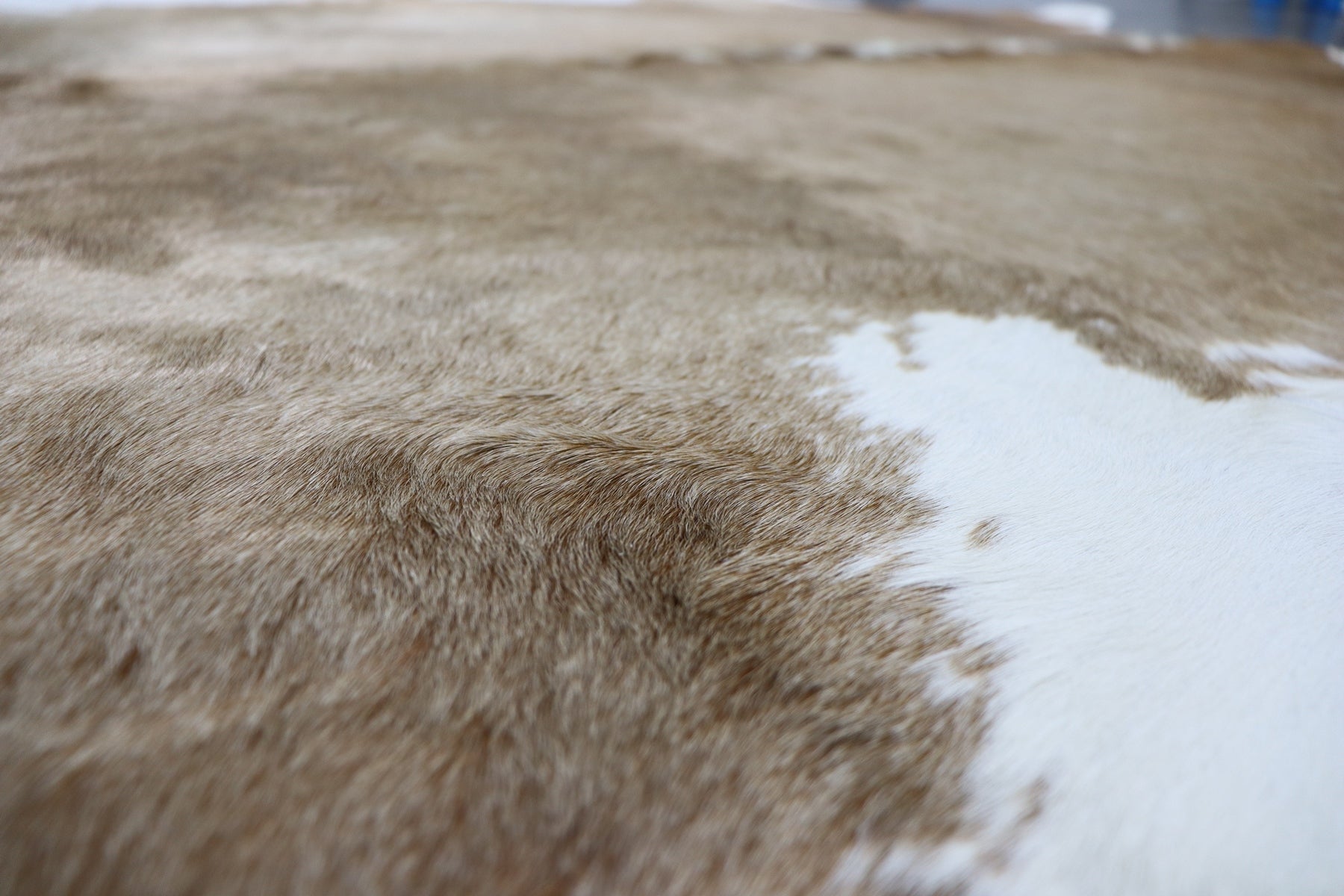 Brown White (6.7 X 6.2 ft.) Exact As Photo BRAZILIAN Cowhide Rug | 100% Natural Cowhide Area Rug | Real Leather Cow Skin Rug | BZ361
