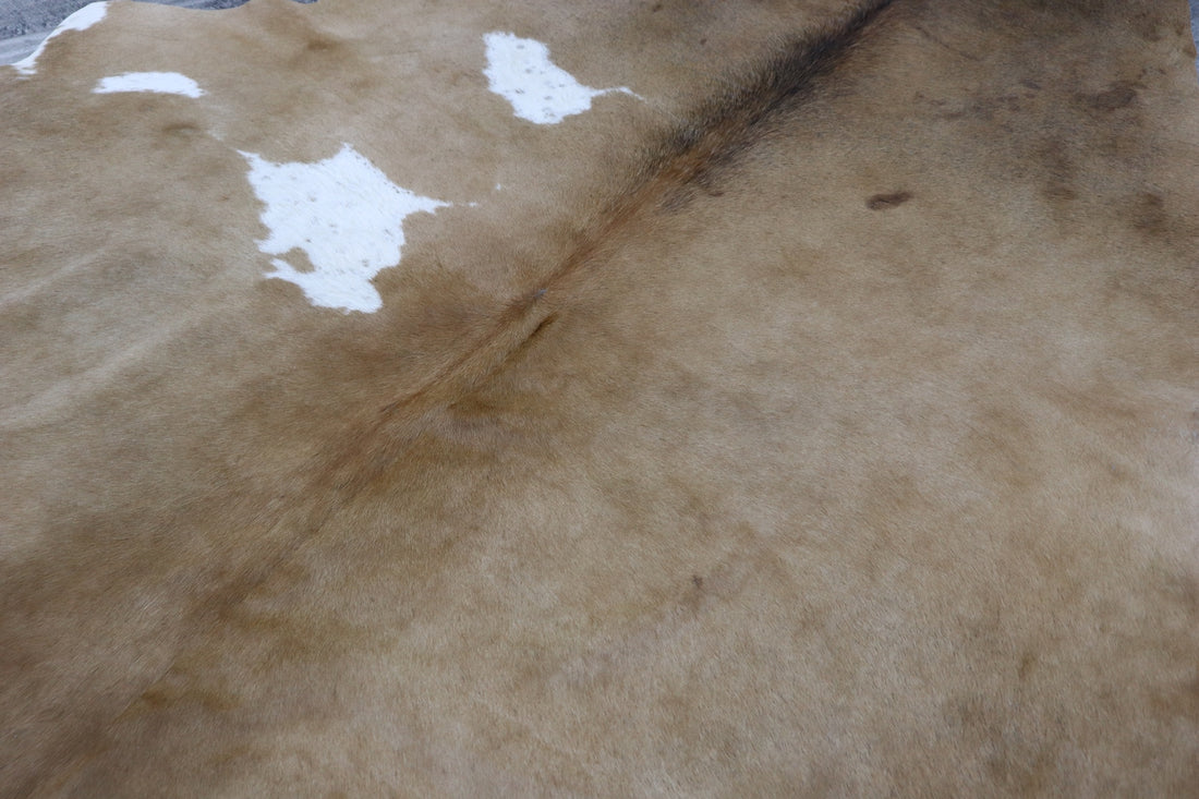 Brown White (6.2 X 5.2 ft.) Exact As Photo BRAZILIAN Cowhide Rug | 100% Natural Cowhide Area Rug | Real Leather Cow Skin Rug | BZ364
