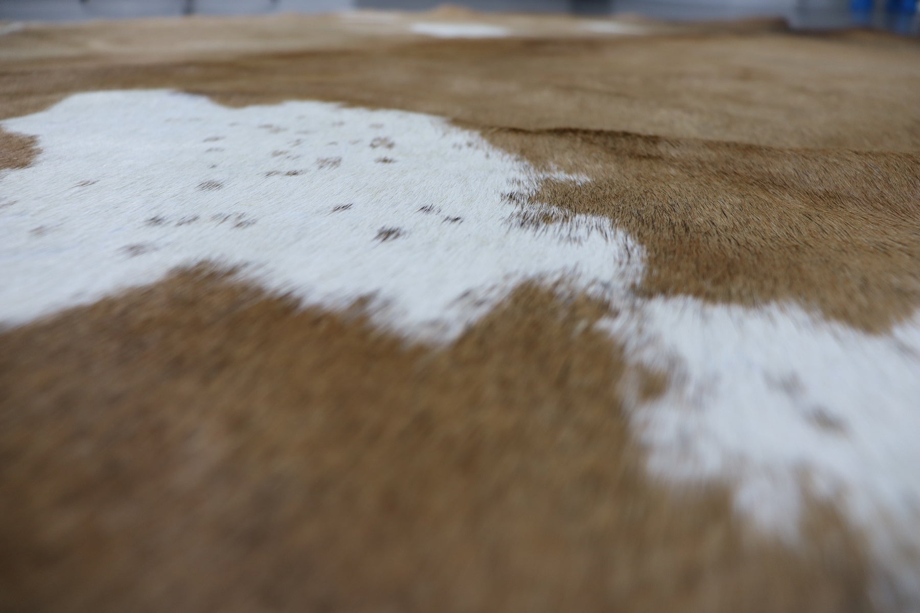 Brown White (6.2 X 5.2 ft.) Exact As Photo BRAZILIAN Cowhide Rug | 100% Natural Cowhide Area Rug | Real Leather Cow Skin Rug | BZ364