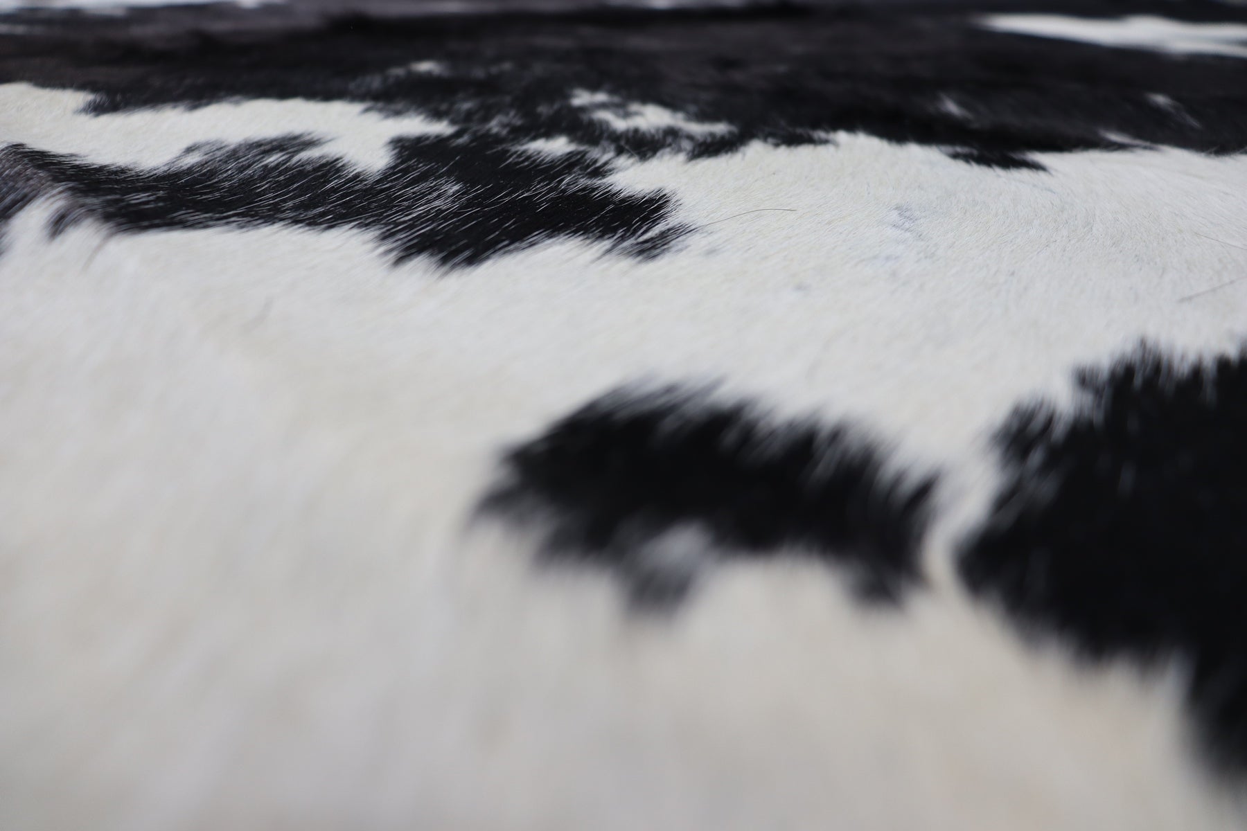 Black White (6.7 X 6.1 ft.) Exact As Photo BRAZILIAN Cowhide Rug | 100% Natural Cowhide Area Rug | Real Leather Cow Skin Rug | BZ365