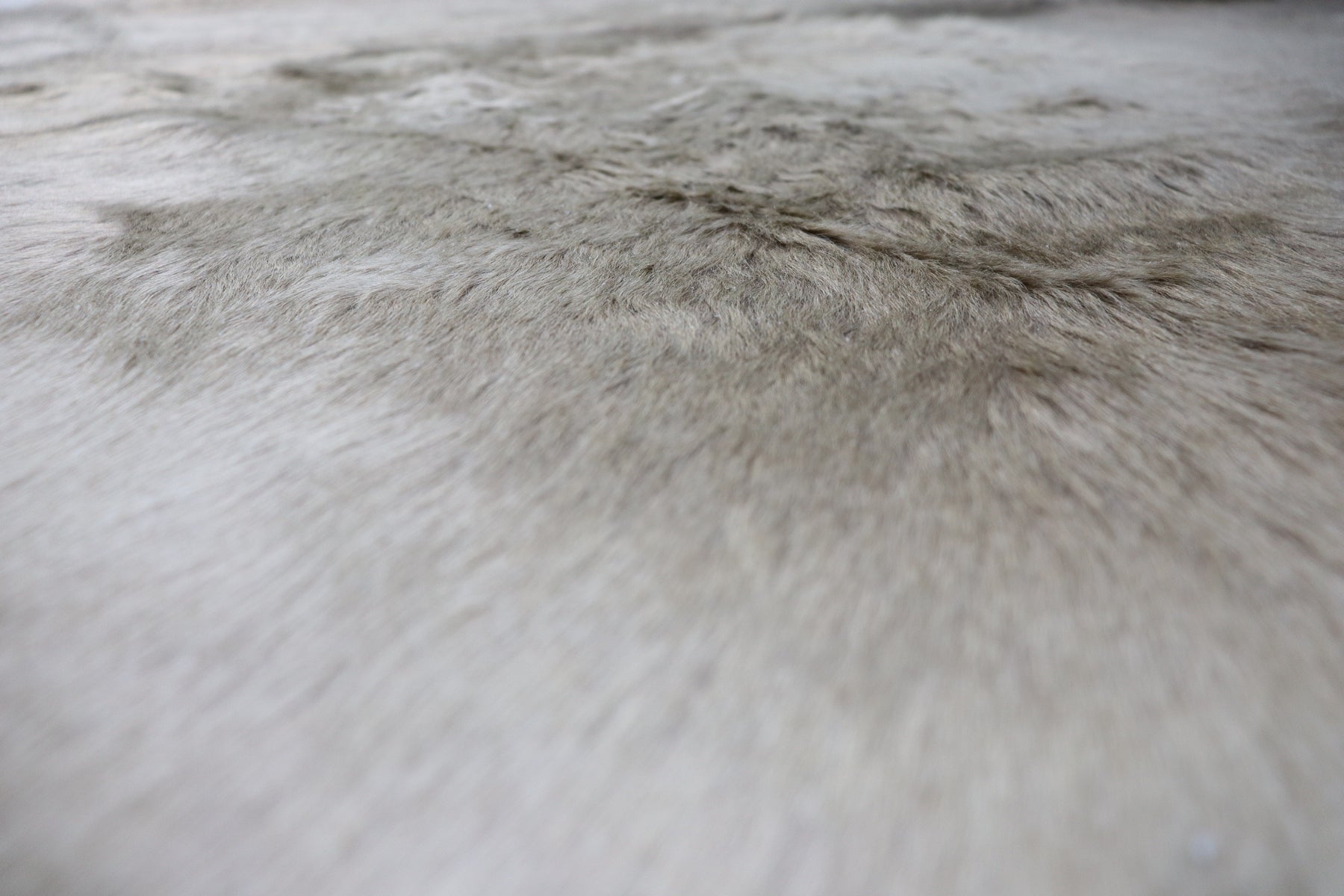 Tricolor (6.8 X 6.2 ft.) Exact As Photo BRAZILIAN Cowhide Rug | 100% Natural Cowhide Area Rug | Real Leather Cow Skin Rug | BZ366
