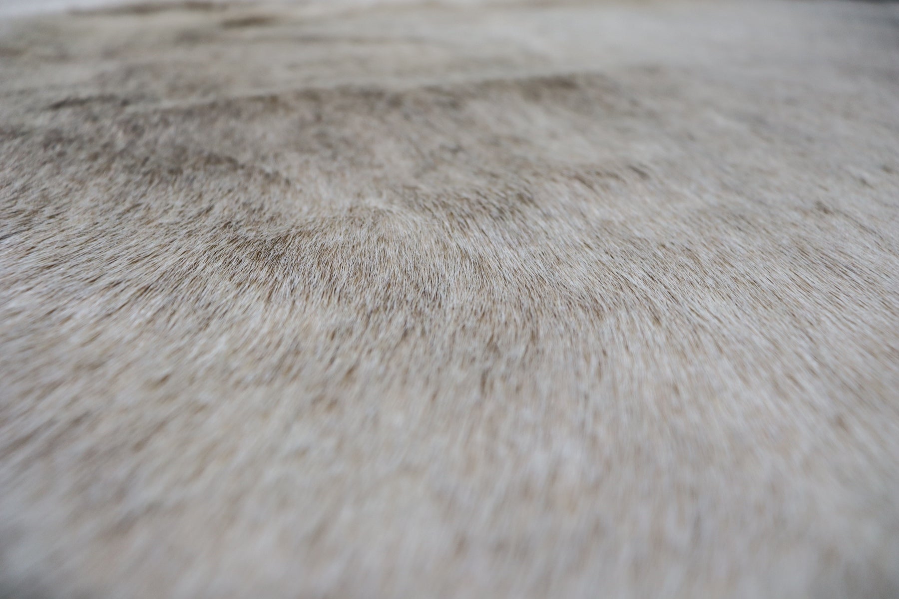 Light Brownish Grey (6.6 X 5.11 ft.) Exact As Photo BRAZILIAN Cowhide Rug | 100% Natural Cowhide Area Rug | Real Leather Cow Skin Rug | BZ370