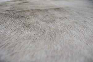 Light Brownish Grey (6.6 X 5.11 ft.) Exact As Photo BRAZILIAN Cowhide Rug | 100% Natural Cowhide Area Rug | Real Leather Cow Skin Rug | BZ370