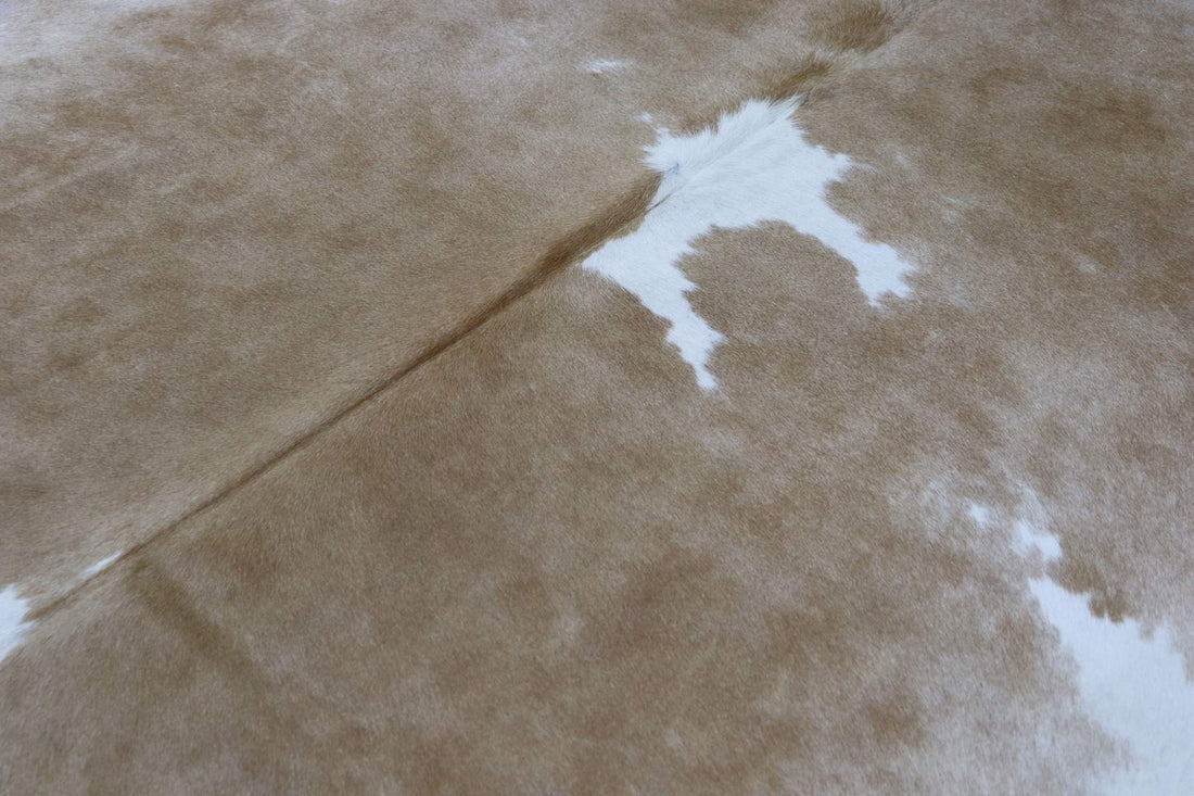 Brown White (6.4 X 6.5 ft.) Exact As Photo BRAZILIAN Cowhide Rug | 100% Natural Cowhide Area Rug | Real Leather Cow Skin Rug | BZ374
