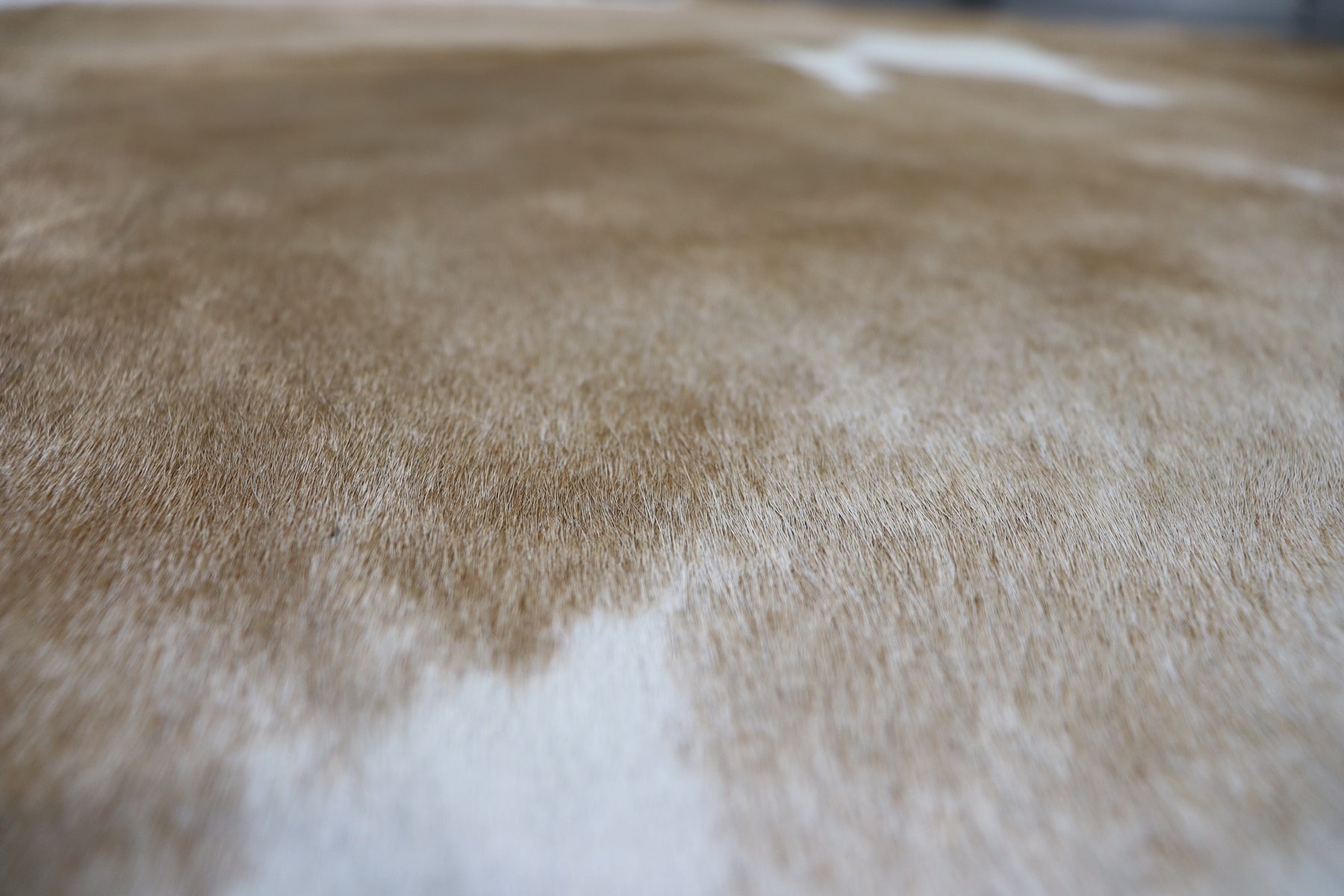 Brown White (6.4 X 6.5 ft.) Exact As Photo BRAZILIAN Cowhide Rug | 100% Natural Cowhide Area Rug | Real Leather Cow Skin Rug | BZ374
