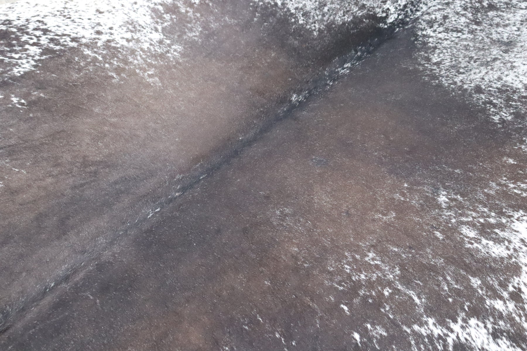 Tricolor (6.9 X 5.4 ft.) Exact As Photo BRAZILIAN Cowhide Rug | 100% Natural Cowhide Area Rug | Real Leather Cow Skin Rug | BZ376