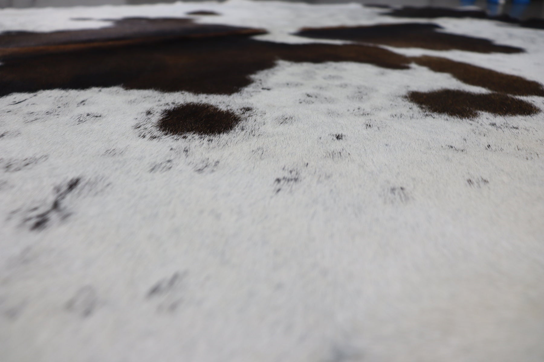 Tricolor (7 X 6 ft.) Exact As Photo BRAZILIAN Cowhide Rug | 100% Natural Cowhide Area Rug | Real Leather Cow Skin Rug | BZ380