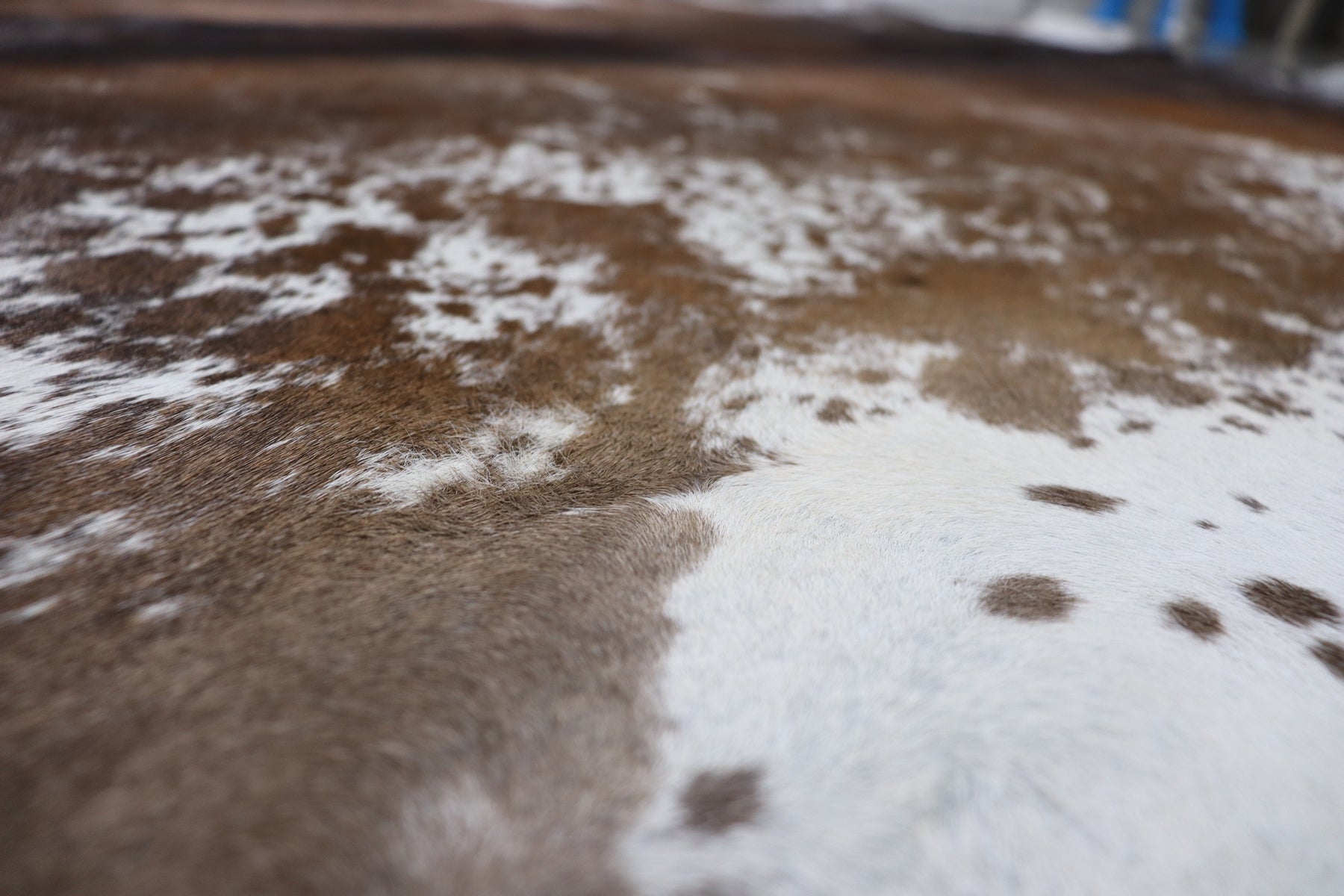 Tricolor (8 X 7.3 ft.) Exact As Photo BRAZILIAN Cowhide Rug | 100% Natural Cowhide Area Rug | Real Leather Cow Skin Rug | BZ382