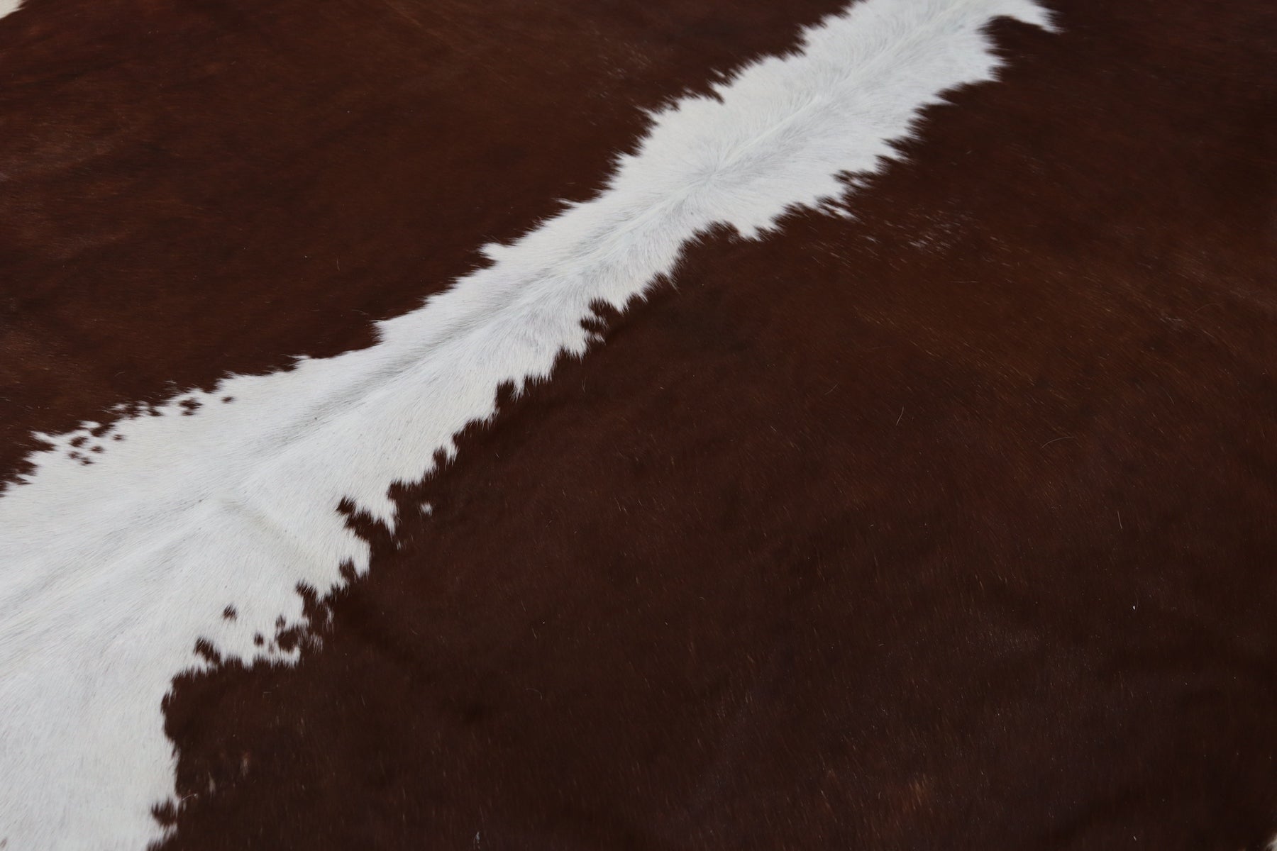 Brown White (8 X 7 ft.) Exact As Photo BRAZILIAN Cowhide Rug | 100% Natural Cowhide Area Rug | Real Leather Cow Skin Rug | BZ395