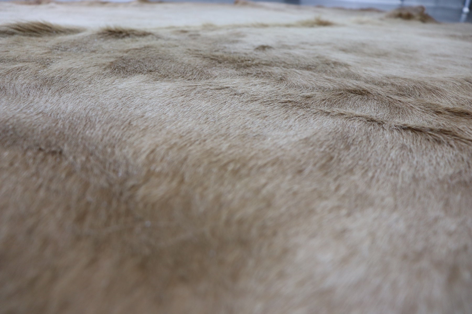 Light Brown (6.1 X 5.7 ft.) Exact As Photo BRAZILIAN Cowhide Rug | 100% Natural Cowhide Area Rug | Real Leather Cow Skin Rug | BZ396