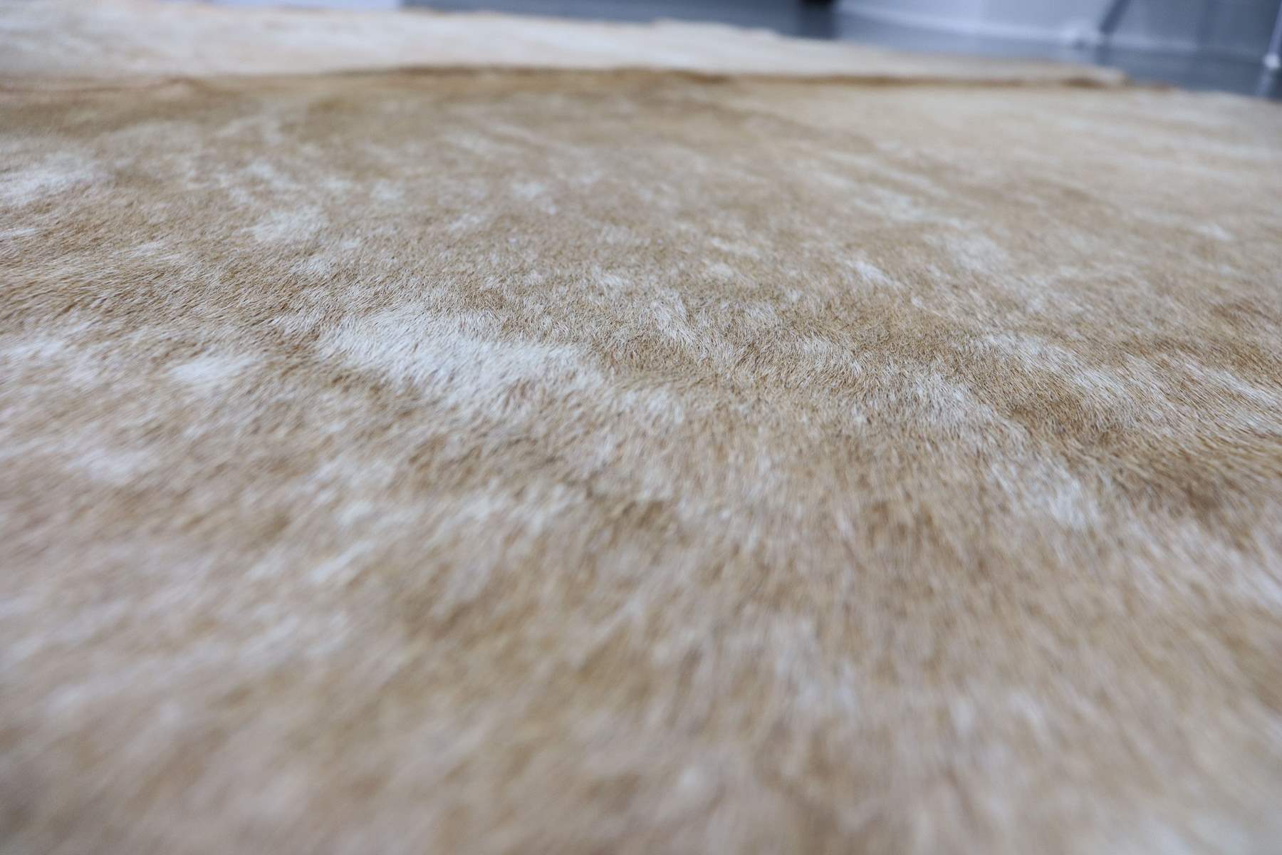 Light Brown White (6.2 X 6 ft.) Exact As Photo BRAZILIAN Cowhide Rug | 100% Natural Cowhide Area Rug | Real Leather Cow Skin Rug | BZ399