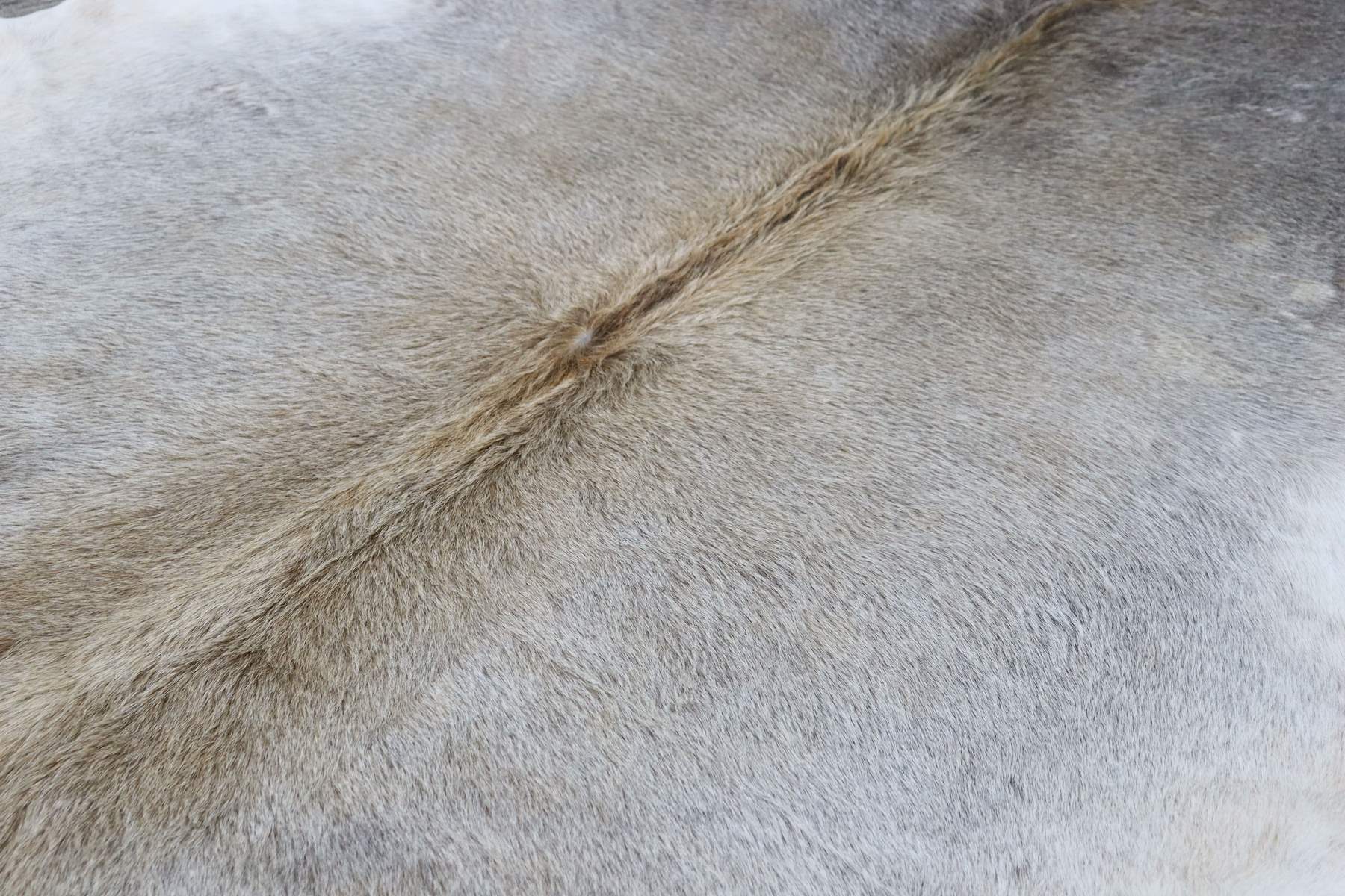 Brownish Grey (6.7 X 5.11 ft.) Exact As Photo BRAZILIAN Cowhide Rug | 100% Natural Cowhide Area Rug | Real Leather Cow Skin Rug | BZ400