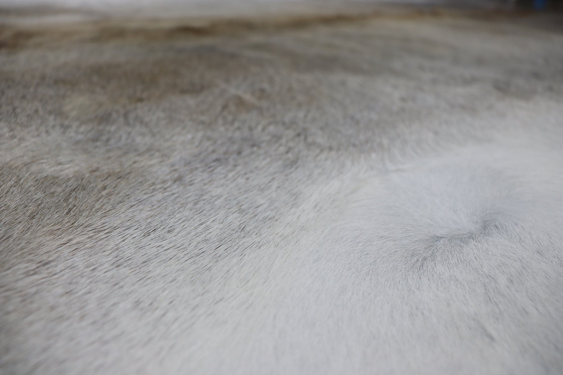 Brownish Grey (6.7 X 5.11 ft.) Exact As Photo BRAZILIAN Cowhide Rug | 100% Natural Cowhide Area Rug | Real Leather Cow Skin Rug | BZ400