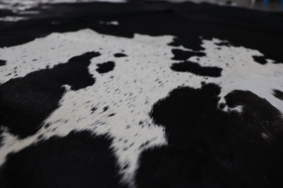 Black White (7.1 X 5.9 ft.) Exact As Photo BRAZILIAN Cowhide Rug | 100% Natural Cowhide Area Rug | Real Leather Cow Skin Rug | BZ401