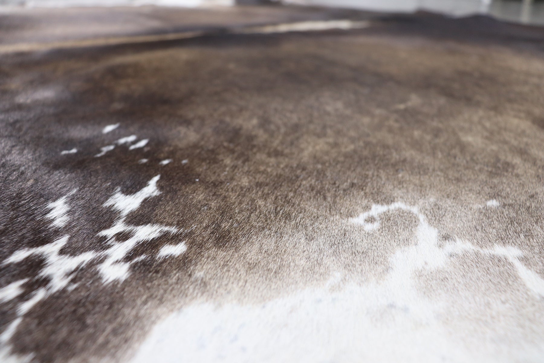Tricolor (7.6 X 6.3 ft.) Exact As Photo BRAZILIAN Cowhide Rug | 100% Natural Cowhide Area Rug | Real Leather Cow Skin Rug | BZ411
