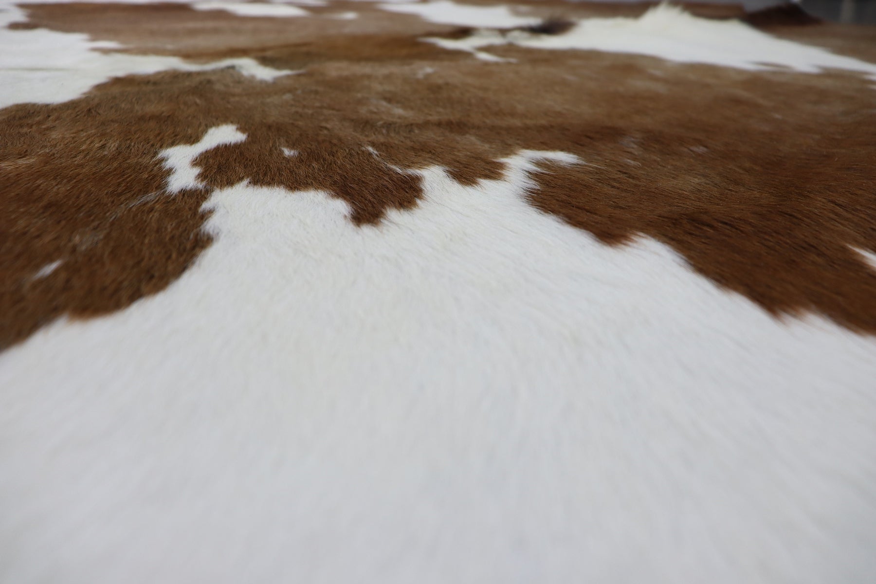 Brown White (6.11 X 5.10 ft.) Exact As Photo BRAZILIAN Cowhide Rug | 100% Natural Cowhide Area Rug | Real Leather Cow Skin Rug | BZ414