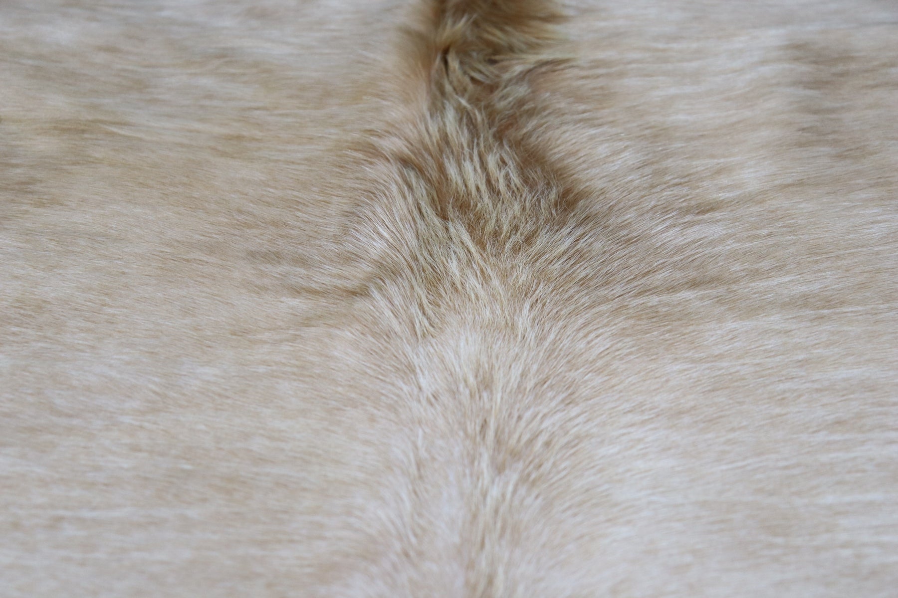 Light Brown White (8.10 X 8 ft.) Exact As Photo BRAZILIAN Cowhide Rug | 100% Natural Cowhide Area Rug | Real Leather Cow Skin Rug | BZ417