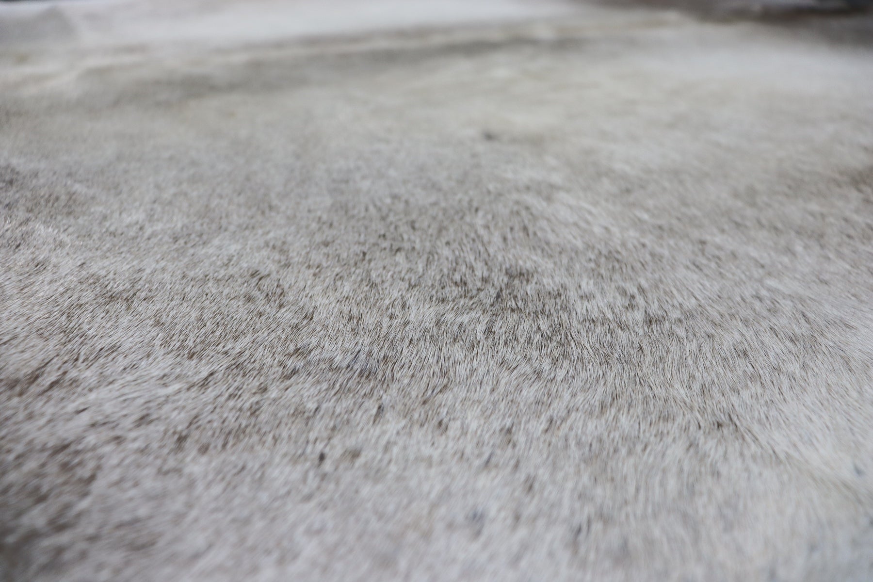 Grey White (6.11 X 5.10 ft.) Exact As Photo BRAZILIAN Cowhide Rug | 100% Natural Cowhide Area Rug | Real Leather Cow Skin Rug | BZ423