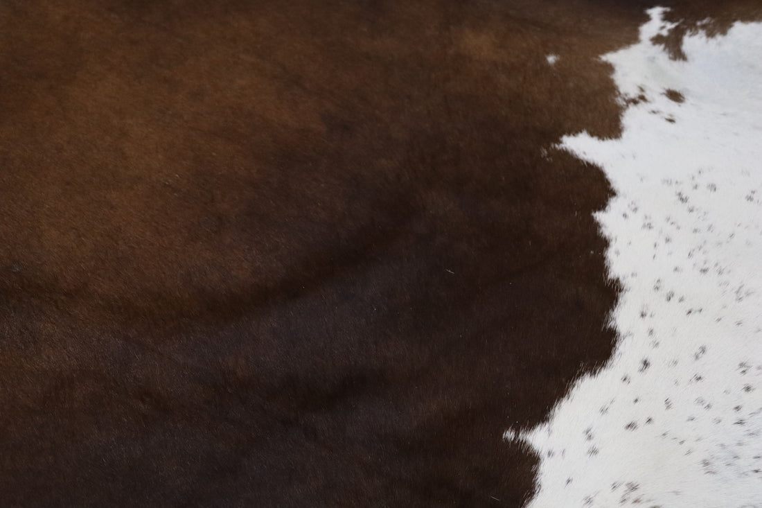 Tricolor (6.5 X 5.10 ft.) Exact As Photo BRAZILIAN Cowhide Rug | 100% Natural Cowhide Area Rug | Real Leather Cow Skin Rug | BZ436