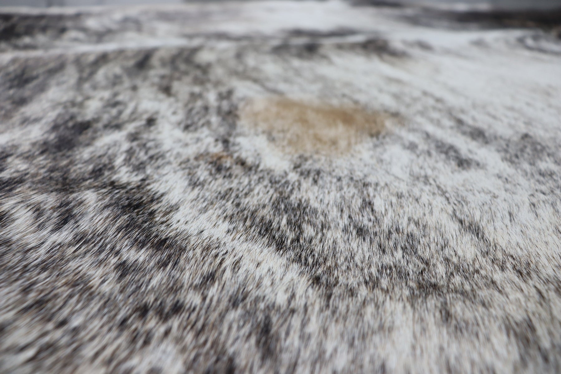 Tricolor Brindle (7.9 X 6.6 ft.) Exact As Photo BRAZILIAN Cowhide Rug | 100% Natural Cowhide Area Rug | Real Leather Cow Skin Rug | BZ452