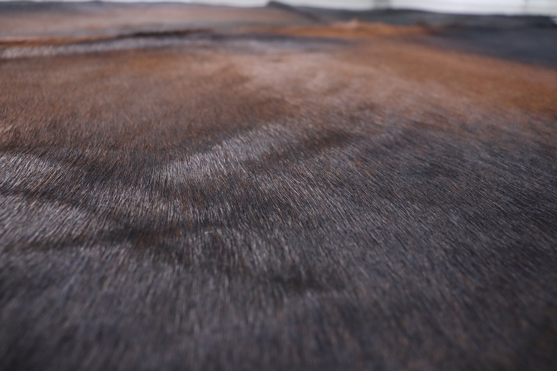 Tricolor (8.4 X 7.3 ft.) Exact As Photo BRAZILIAN Cowhide Rug | 100% Natural Cowhide Area Rug | Real Leather Cow Skin Rug | BZ457