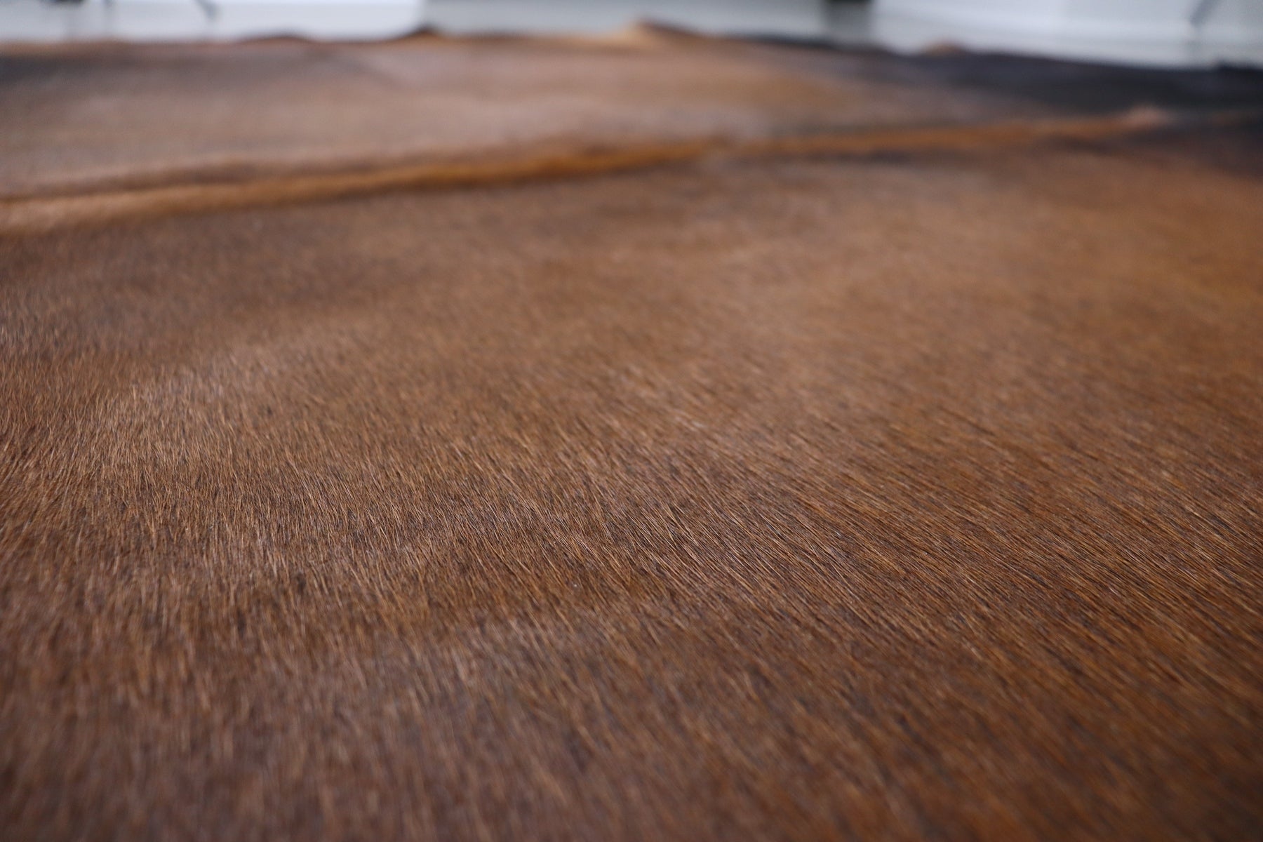 Tricolor (8 X 7.7 ft.) Exact As Photo BRAZILIAN Cowhide Rug | 100% Natural Cowhide Area Rug | Real Leather Cow Skin Rug | BZ458