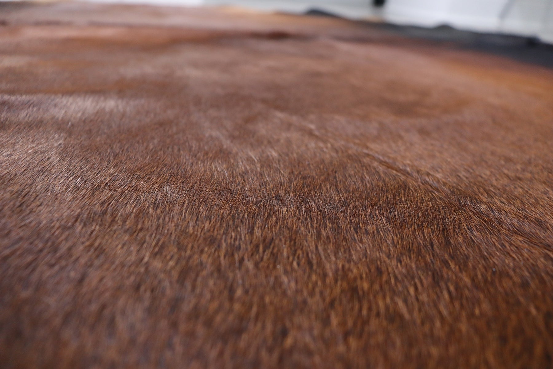 Tricolor (8.3 X 7.6 ft.) Exact As Photo BRAZILIAN Cowhide Rug | 100% Natural Cowhide Area Rug | Real Leather Cow Skin Rug | BZ459