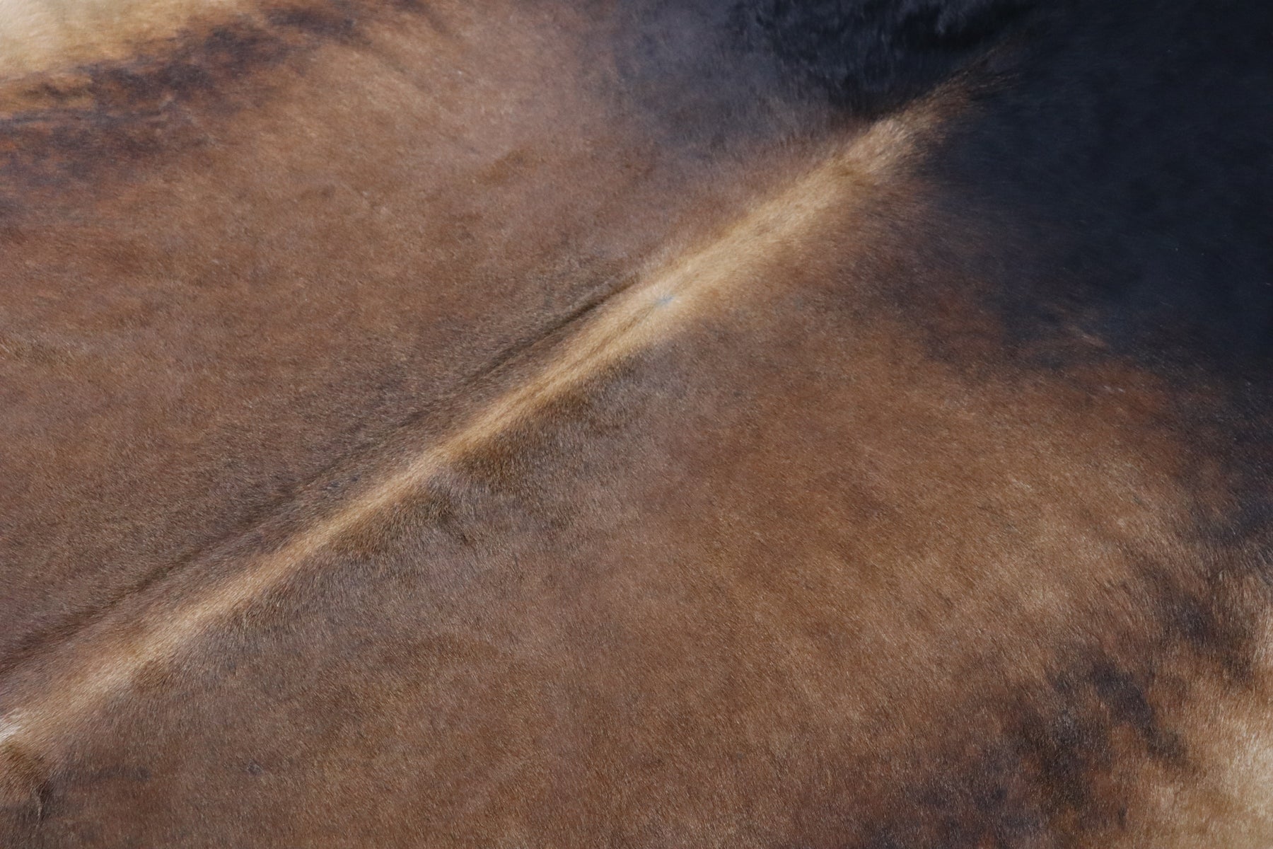 Tricolor (8.10 X 7.10 ft.) Exact As Photo BRAZILIAN Cowhide Rug | 100% Natural Cowhide Area Rug | Real Leather Cow Skin Rug | BZ460