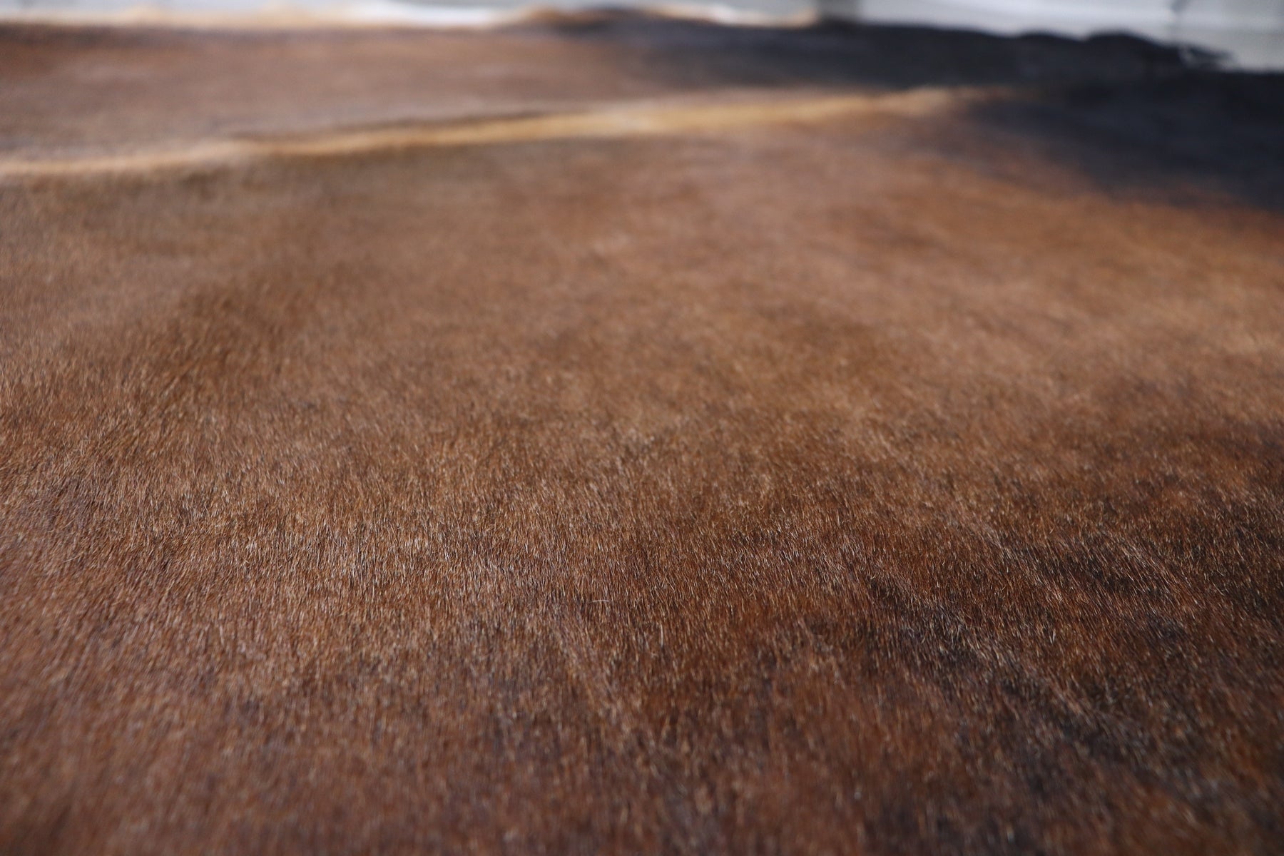 Tricolor (8.10 X 7.10 ft.) Exact As Photo BRAZILIAN Cowhide Rug | 100% Natural Cowhide Area Rug | Real Leather Cow Skin Rug | BZ460