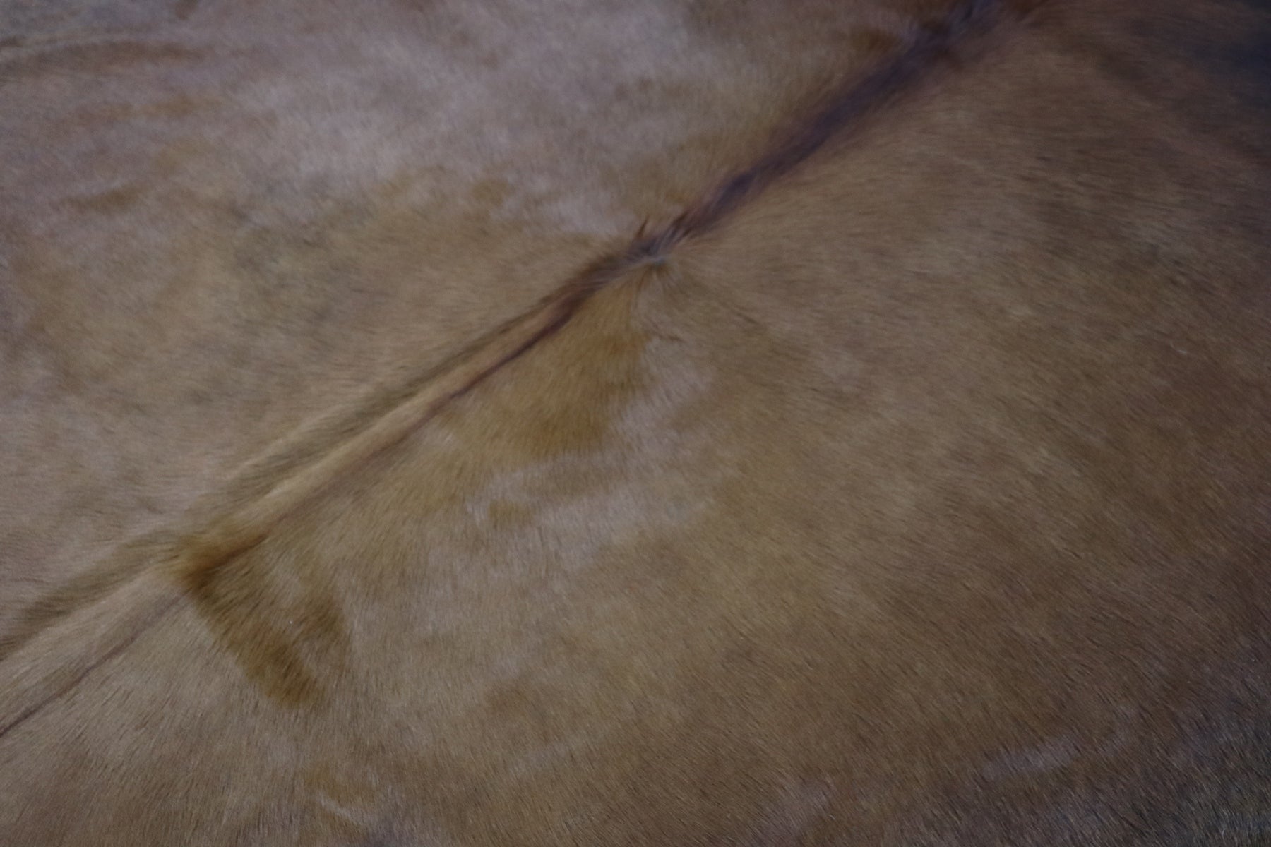 Brown Black (8.3 X 6.3 ft.) Exact As Photo BRAZILIAN Cowhide Rug | 100% Natural Cowhide Area Rug | Real Leather Cow Skin Rug | BZ462
