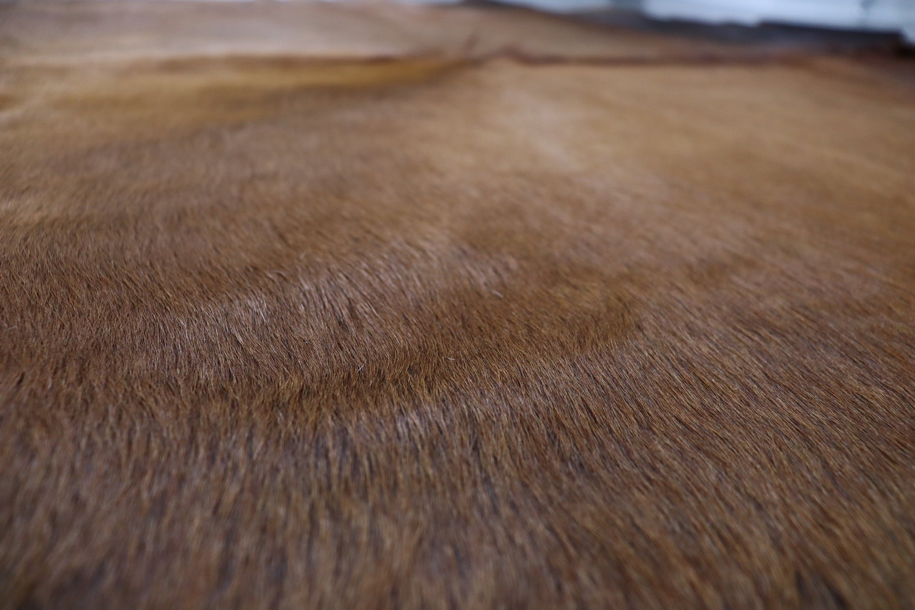 Brown Black (8.3 X 6.3 ft.) Exact As Photo BRAZILIAN Cowhide Rug | 100% Natural Cowhide Area Rug | Real Leather Cow Skin Rug | BZ462