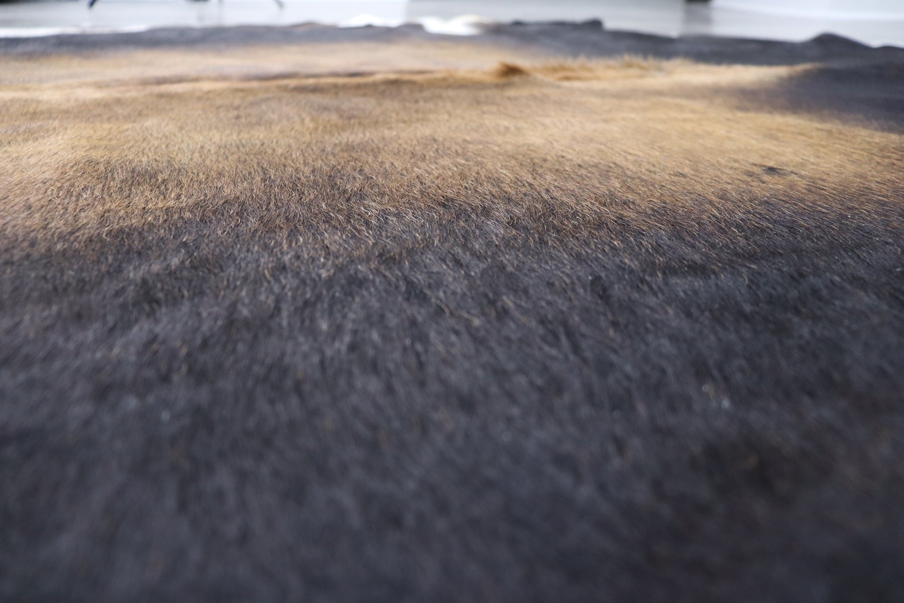 Tricolor (7.9 X 7 ft.) Exact As Photo BRAZILIAN Cowhide Rug | 100% Natural Cowhide Area Rug | Real Leather Cow Skin Rug | BZ466