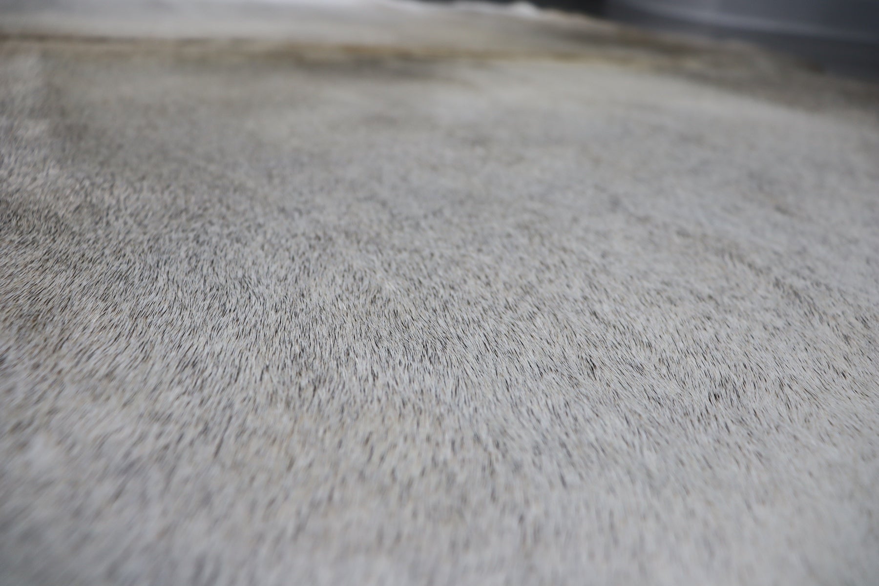 Grey (6.6 X 6.9 ft.) Exact As Photo BRAZILIAN Cowhide Rug | 100% Natural Cowhide Area Rug | Real Leather Cow Skin Rug | BZ468