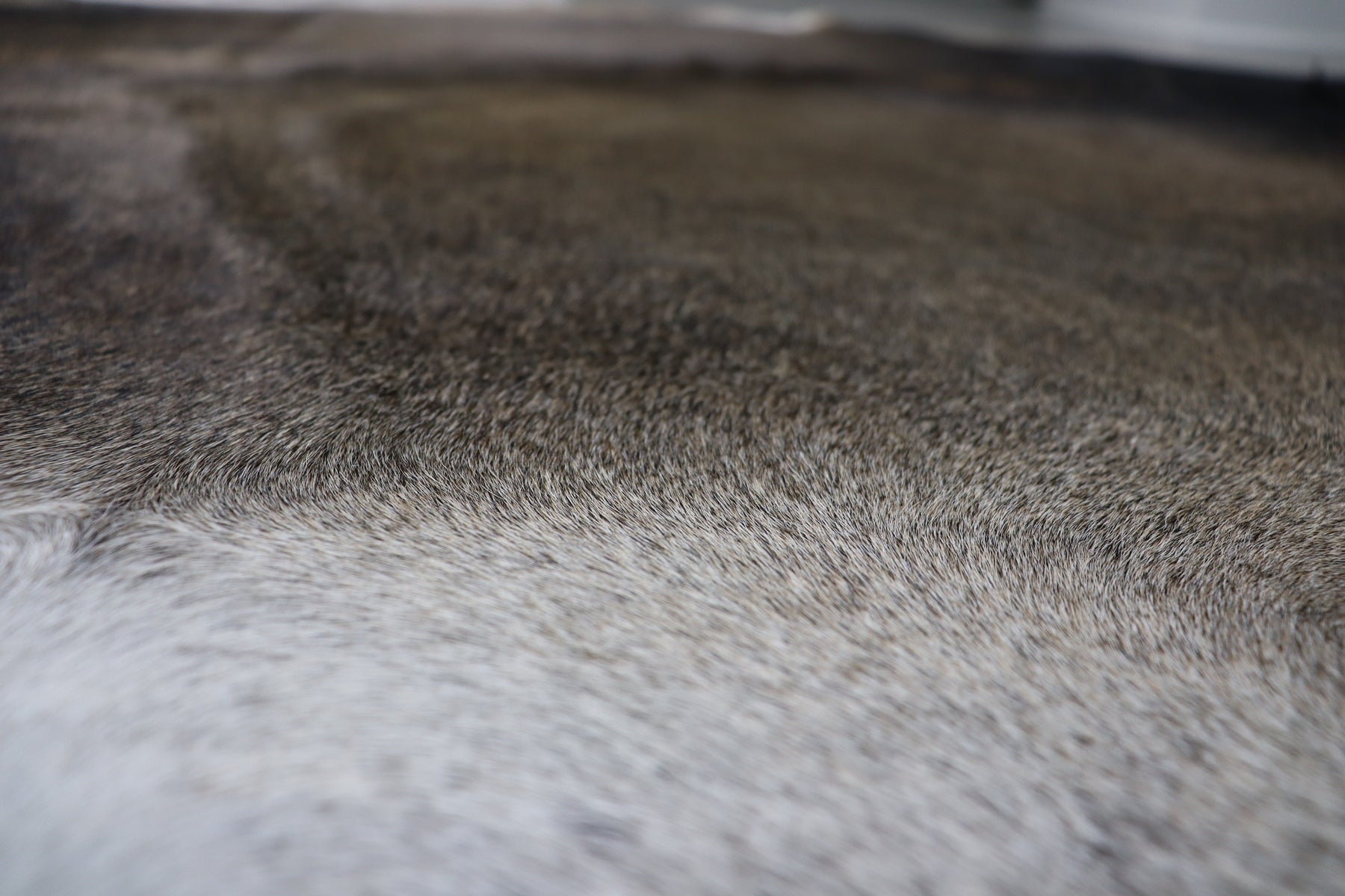 Tricolor (6.7 X 5.8 ft.) Exact As Photo BRAZILIAN Cowhide Rug | 100% Natural Cowhide Area Rug | Real Leather Cow Skin Rug | BZ470